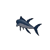 Tuna Fish